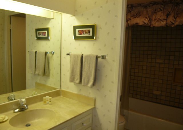 Bathroom off the master bedroom.
