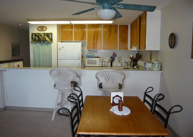 Dining/Kitchen Area