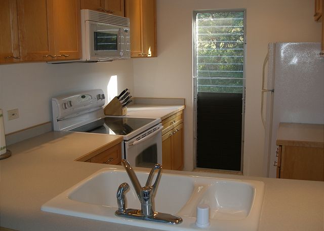 Great newly remodeled kitchen