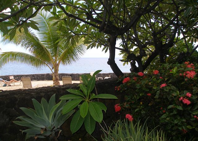 Tropical beauty and a sandy beach at the end of the complex.