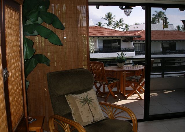 Living room onto the lanai