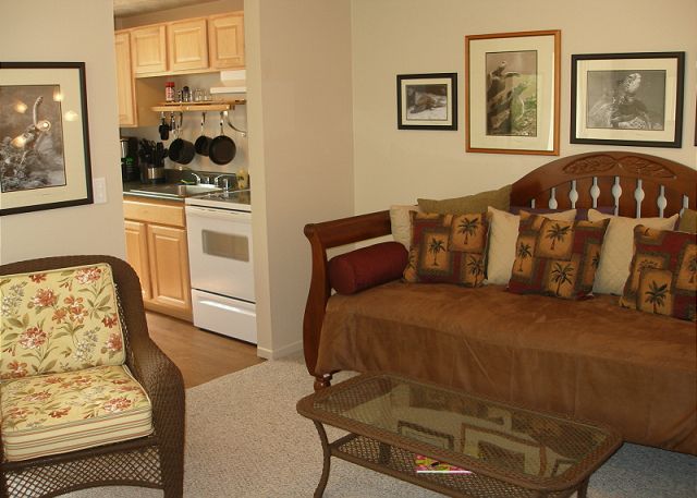 Living Room & Kitchen