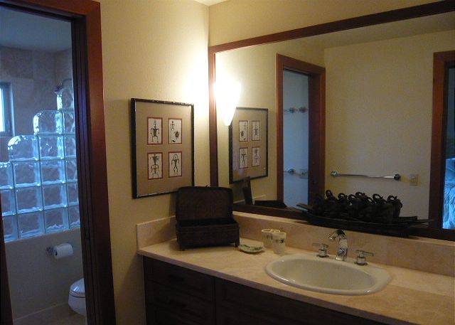 Downstairs master bathroom.