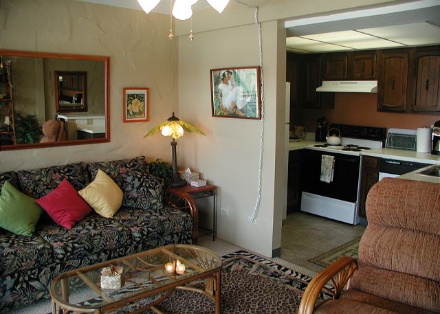 Living Room/Kitchen