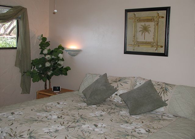 Master Bedroom with King Bed