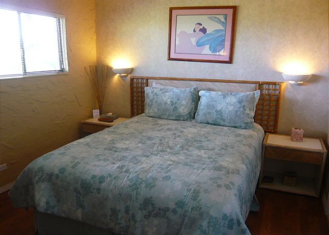 Bedroom with queen bed, television and VCR