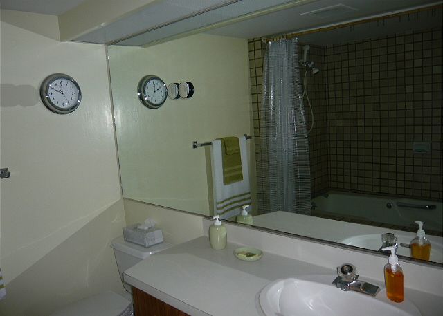Master bath