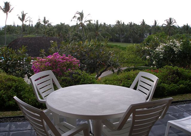 Beautiful Lanai View