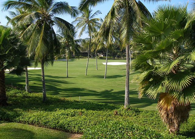 View from the lanai