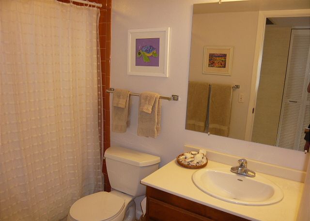 Bathroom off the hallway.