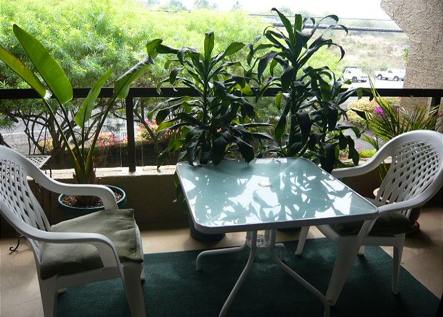 Lanai off Bedroom