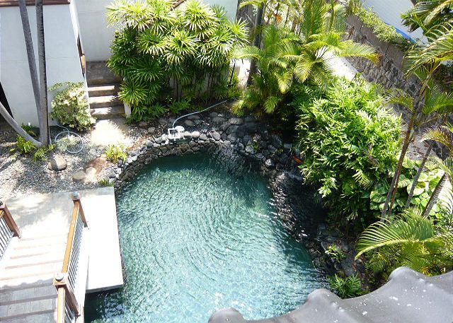Pool view from the upper lanai.