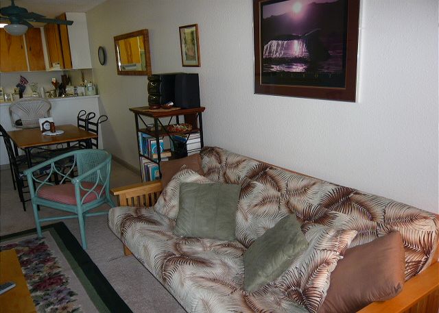 Futon sofa in the living room.