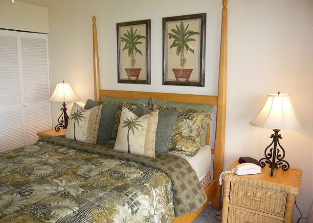 Lovely master bedroom with adjoining bath.