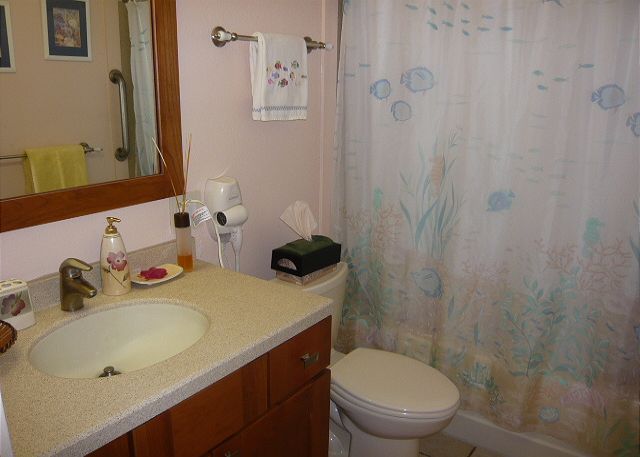Bathroom off the twin bedroom.
