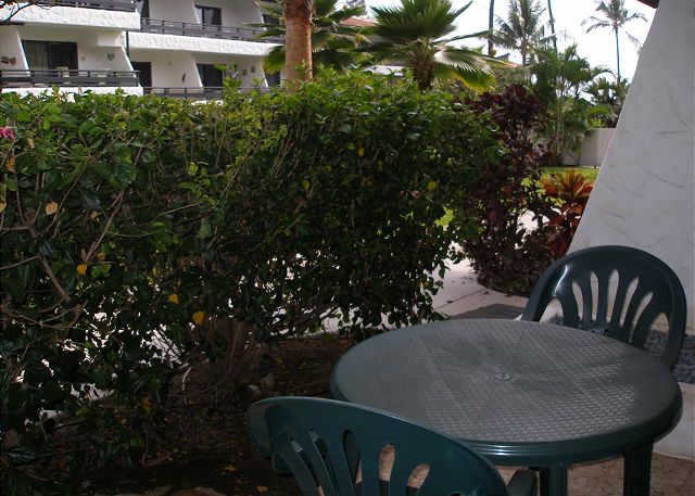 Lanai garden view