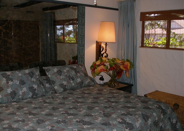 Master Bedroom with a king bed