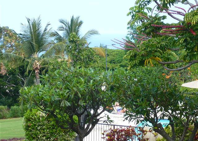 View of one of the 3 pools from the lanai.