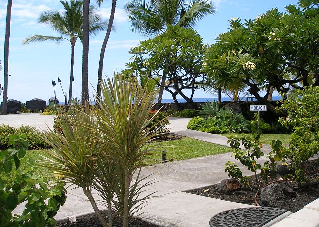 View from the lanai, living room, and kitchen