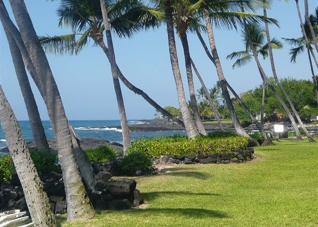 View of the coastline north of the condo.