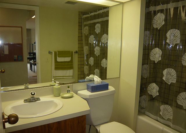 One of two full bathrooms.
