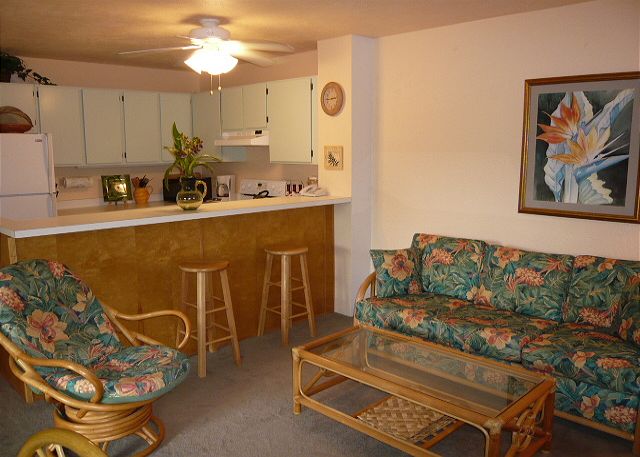 Living/Kitchen