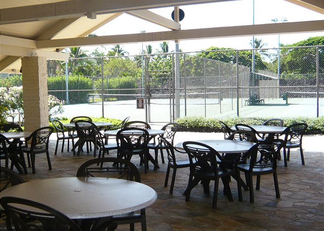 Surf and Racquet 9303