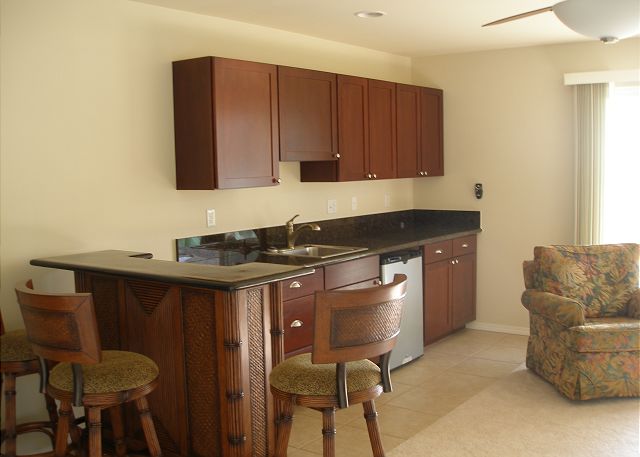 Lower level family room