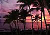 Hale Lihi Lani - Kona Reef D-33