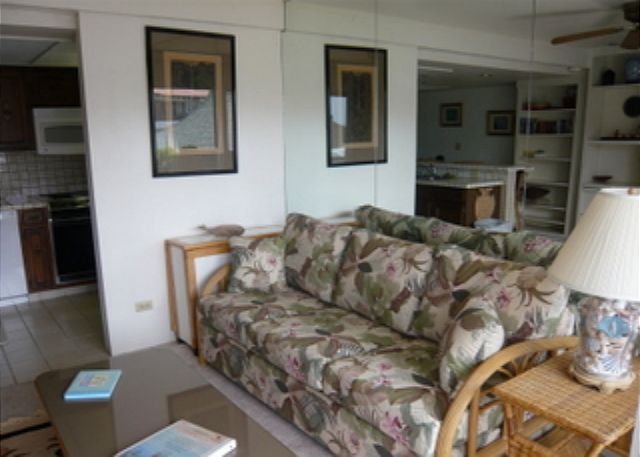 Living/Kitchen