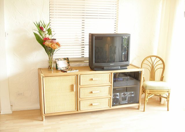 Entertainment center in the living room.