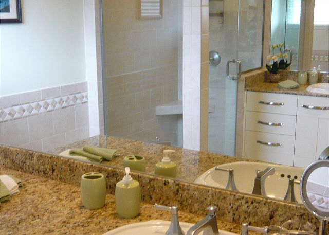 Master bath has a spa-like ambience with large rainfall shower &
