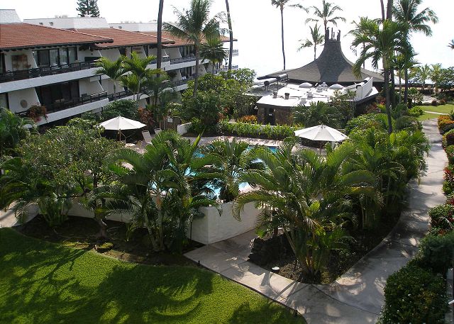 View of the fresh pool from the lanai