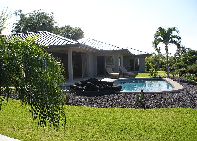 Tropical Back Yard
