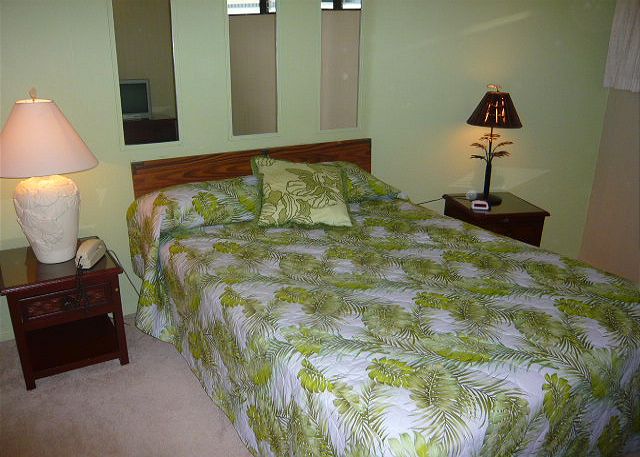 Master Bedroom with a Queen Bed.