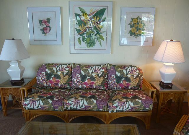 Newly furnished living room.