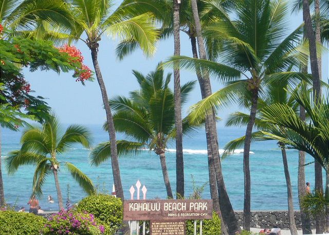 Walk to the beach which is just across the street.