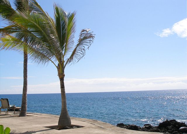 View from the back of the complex.