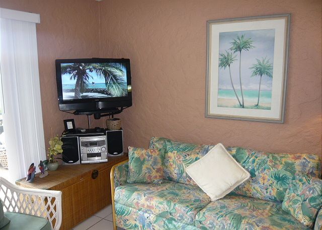 New flat screen TV in the living room.