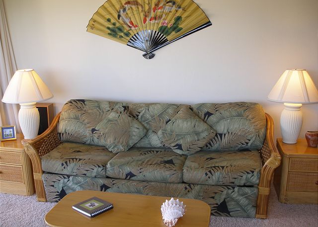 Sofa sleeper in the living room