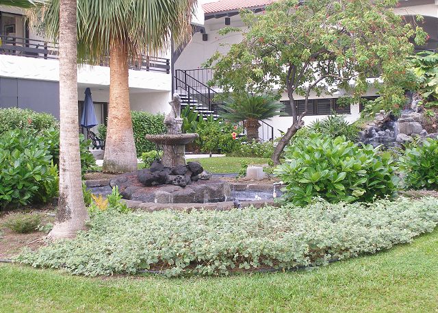Courtyard near the lobby