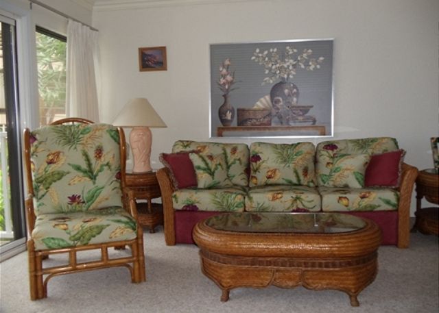 Living room with a new queen sofa sleeper.