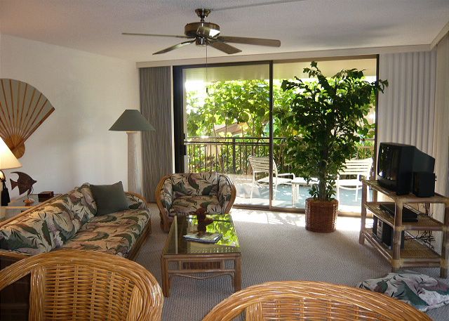 Living room from the kitchen.
