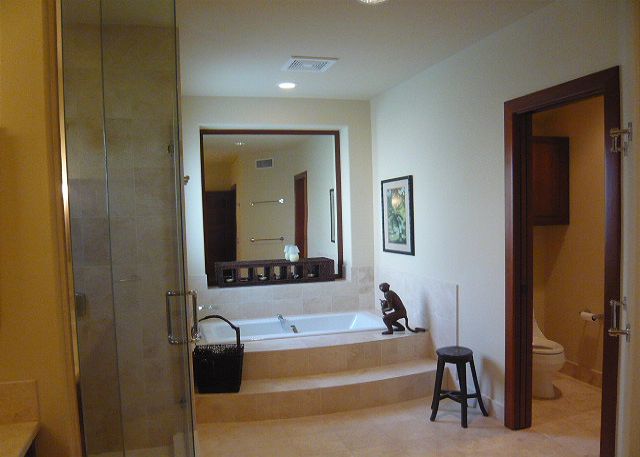 Downstairs master bath with seperate shower and large soaking tu