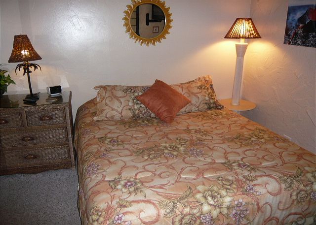 Second bedroom with a queen bed.