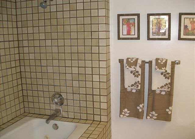 Master bath with a large tub/shower combo.