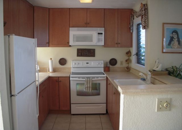 Newly Remodeled Kitchen