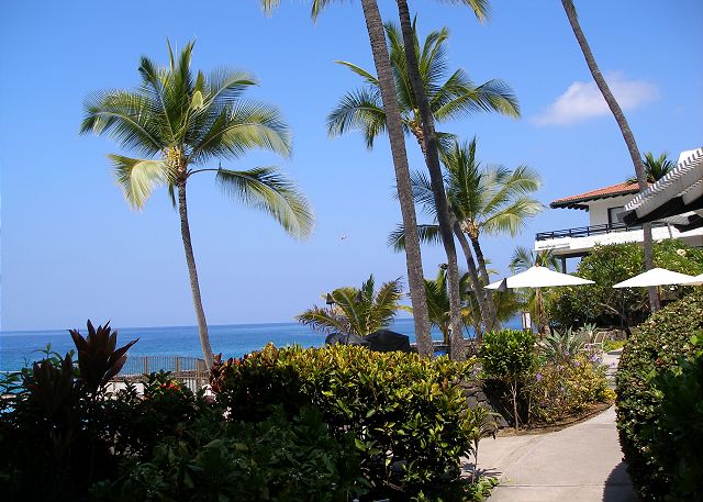 View from the lanai