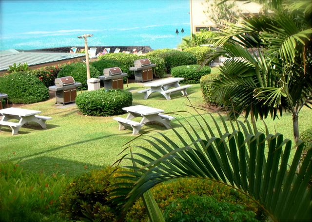 Court Yard