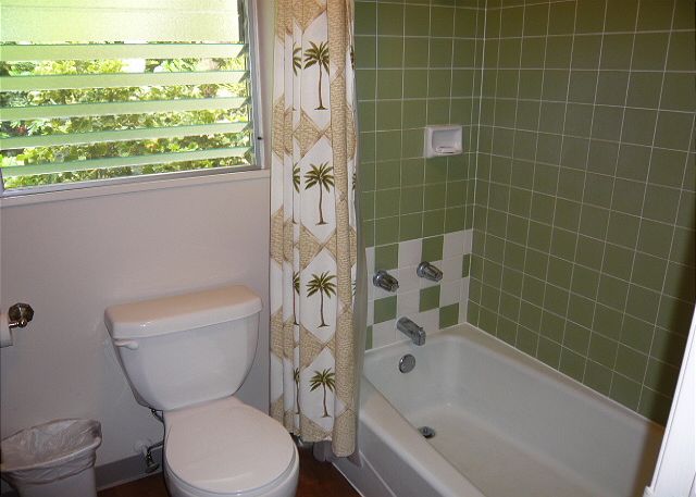 Upstairs Bath